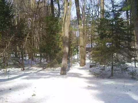 3 Brookside Dr, Delmar, NY 12054 photo 11
