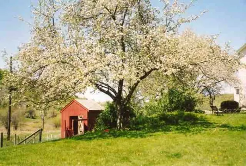 427 Dunbar Rd, Cambridge, NY 12816 photo 9
