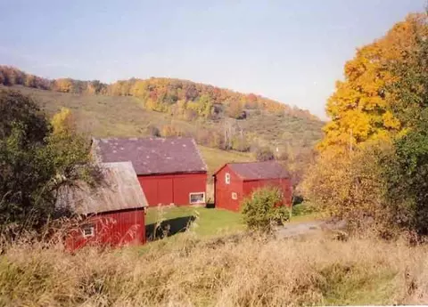 427 Dunbar Rd, Cambridge, NY 12816 photo 12