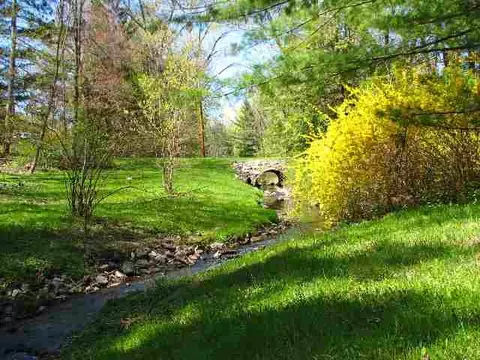 65 Lyons Ave, Delmar, NY 12054 photo 5