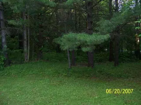 401 Posson Hill Rd, Middleburgh, NY 12122 photo 7
