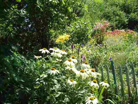 39 Rotterdam Dr, Glenmont, NY 12077 photo 8