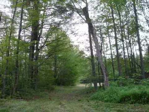 103 Oliver Rd, Summit, NY 12175 photo 3