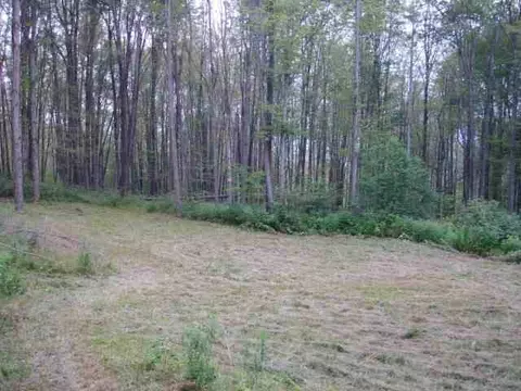103 Oliver Rd, Summit, NY 12175 photo 8