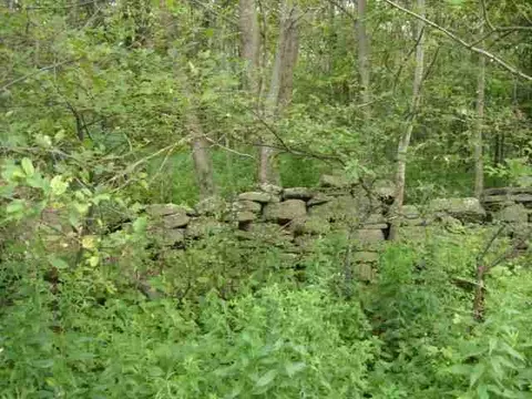 103 Oliver Rd, Summit, NY 12175 photo 7