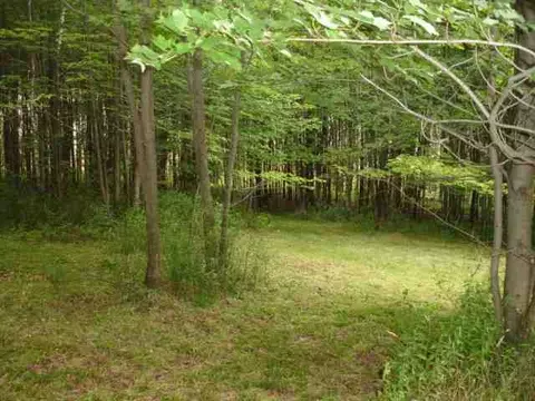 103 Oliver Rd, Summit, NY 12175 photo 6