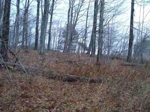 2585 State Rt 10, Summit, NY 12175 photo 2