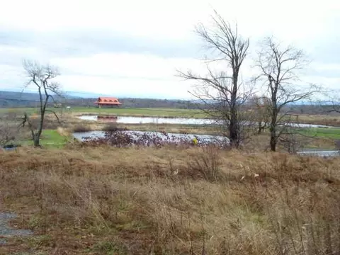 2585 State Rt 10, Summit, NY 12175 photo 6