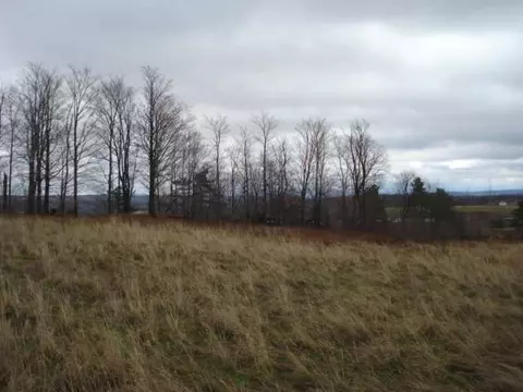 2585 State Rt 10, Summit, NY 12175 photo 4
