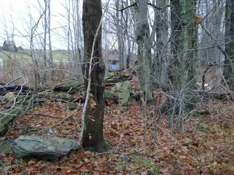 2585 State Rt 10, Summit, NY 12175 photo 3