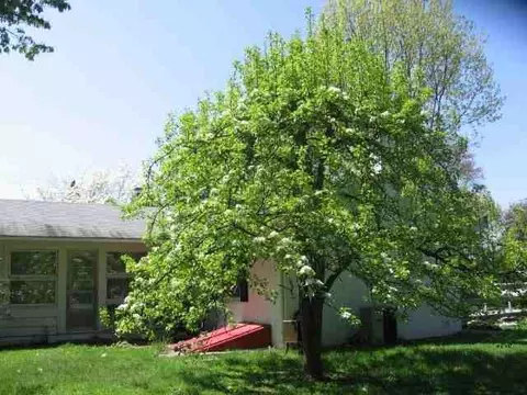 2 Gaffney Ln, Kinderhook, NY 12106 photo 5