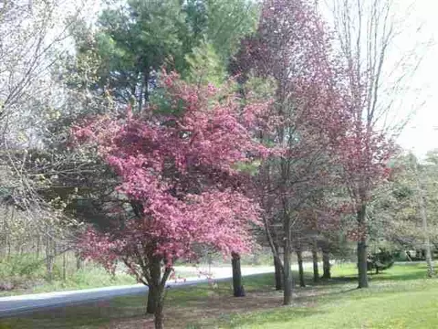 552 State Route 443, Wright, NY 12157 photo 8