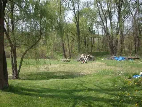 552 State Route 443, Wright, NY 12157 photo 9