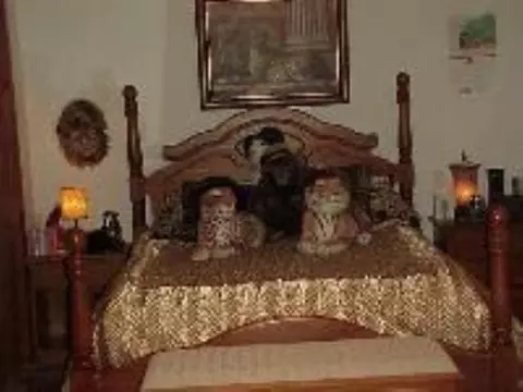 202 Chiswell Rd, Schenectady, NY 12304 photo 4