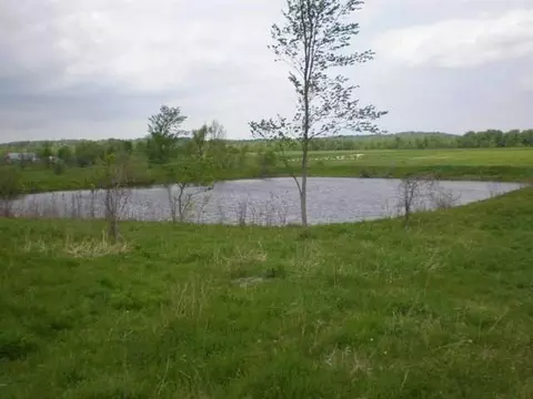 115 Crosby Rd, Root, NY 12166 photo 4
