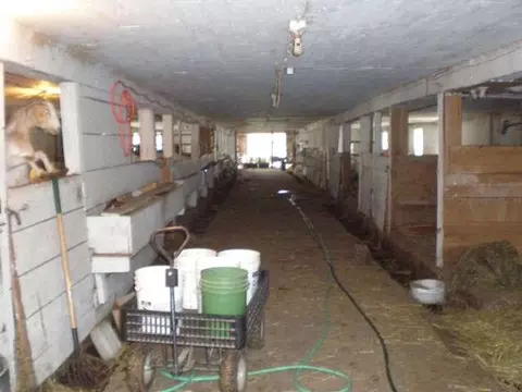 115 Crosby Rd, Root, NY 12166 photo 8
