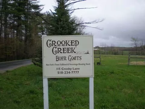 115 Crosby Rd, Root, NY 12166 photo 10