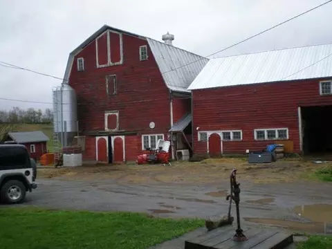 115 Crosby Rd, Root, NY 12166 photo 3