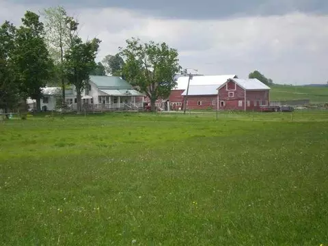 115 Crosby Rd, Root, NY 12166 photo 1