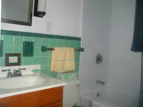 1 Woodridge Rd, Delmar, NY 12054 photo 6
