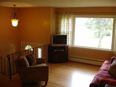 7 Magdalen Rd, Delmar, NY 12054 photo 4