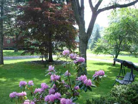 7 Magdalen Rd, Delmar, NY 12054 photo 8