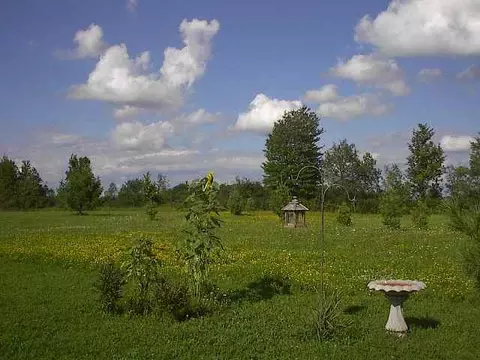 613 Lynk St, Root, NY 12166 photo 11
