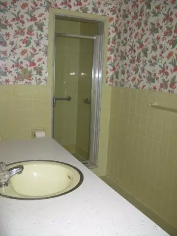 11 Wicklow Ter, Delmar, NY 12054 photo 8