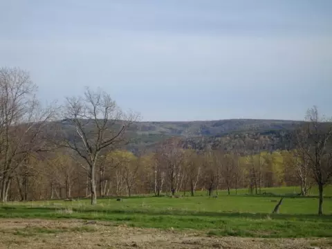 236 Decker Rd, Middleburgh, NY 12122 photo 8