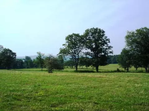 236 Decker Rd, Middleburgh, NY 12122 photo 9