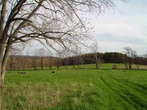 236 Decker Rd, Middleburgh, NY 12122 photo 11