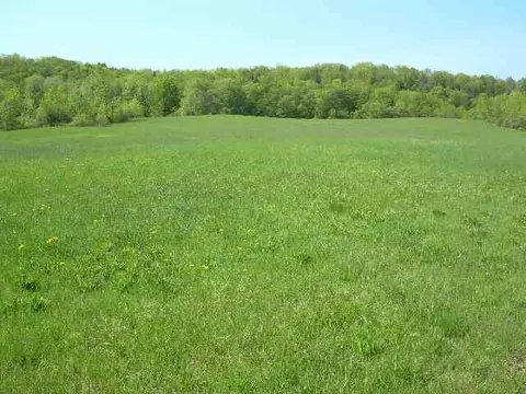 529 Patrick Rd, Cobleskill, NY 12043 photo 12