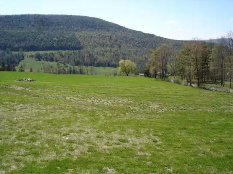 1071 E Hill Rd, Middleburgh, NY 12122 photo 10