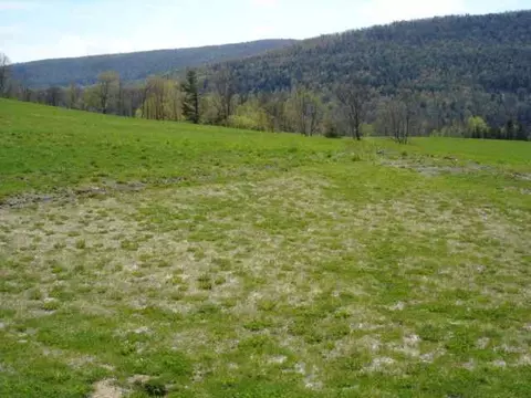 1071 E Hill Rd, Middleburgh, NY 12122 photo 11