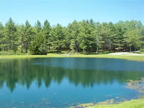 234 W Corbin Hill Rd, Root, NY 12160 photo 7