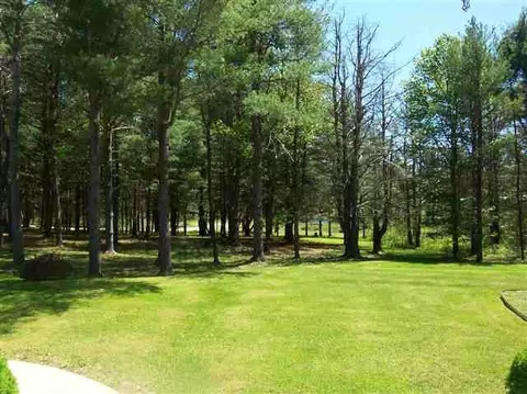 234 W Corbin Hill Rd, Root, NY 12160 photo 5