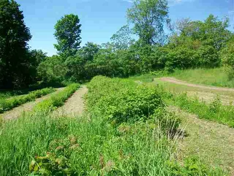 757 Coot Hill Rd, Argyle, NY 12809 photo 5