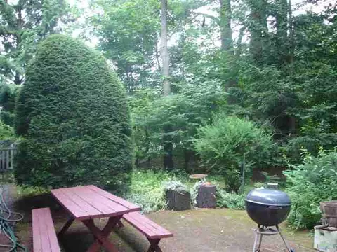 45 Pineview Ave, Delmar, NY 12054 photo 3
