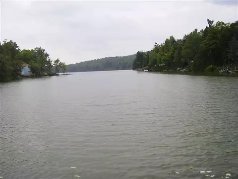 344 Bear Gulch Rd, Summit, NY 12175 photo 5