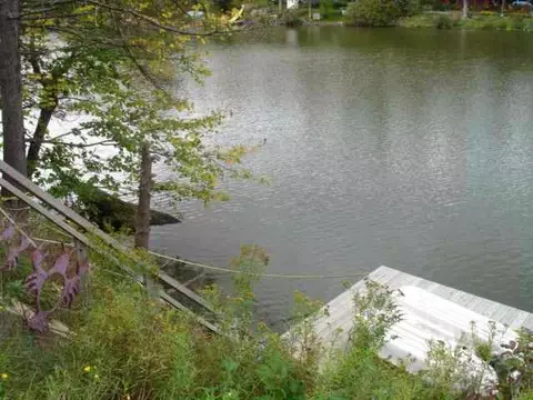 344 Bear Gulch Rd, Summit, NY 12175 photo 3