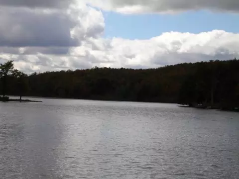 344 Bear Gulch Rd, Summit, NY 12175 photo 4