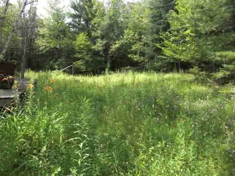 525 Baldwin Rd, Summit, NY 12175 photo 2