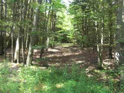 525 Baldwin Rd, Summit, NY 12175 photo 1