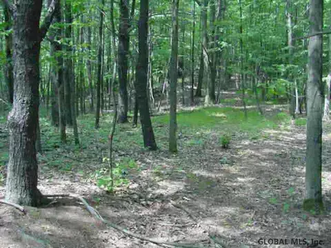 106 Hickey, Hampton, NY 12837 photo 1