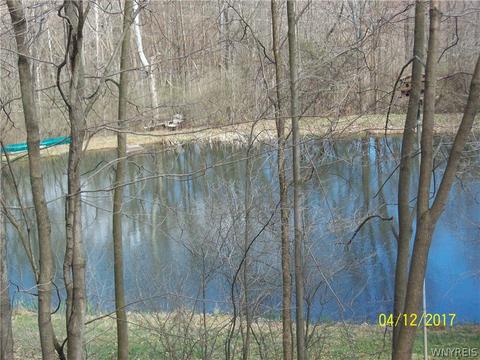 1069 Bear Paw Rd, Olean, NY 14760 photo 15