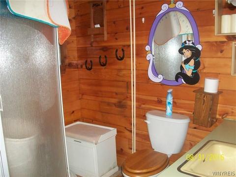 1069 Bear Paw Rd, Olean, NY 14760 photo 6