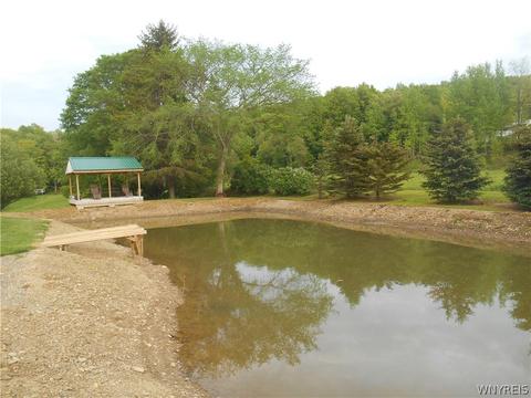 10620 Cagwin Rd, Delevan, NY 14042 photo 25