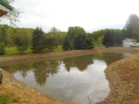 10620 Cagwin Rd, Delevan, NY 14042 photo 6
