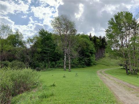 2792 Route 39, Eagle, NY 14024 photo 3