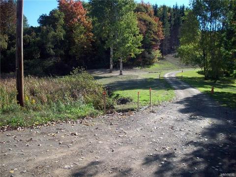 2792 Route 39, Eagle, NY 14024 photo 30